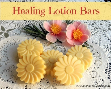 Healing Lotion Bars - Backdoor Survival