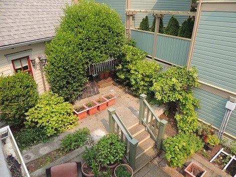 The Backdoor Survival Garden of Eden