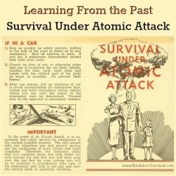 Learning-From-the-Past-Survival-Under-Atomic-Attack-250x250.jpg