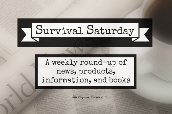 Survival-Saturday-Newsprint-600.jpg