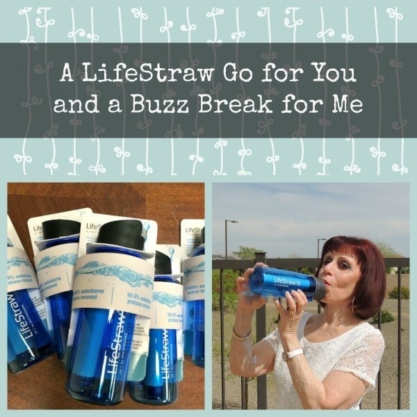 Buzz Break 3 and Lifestraw GO Giveaway | Backdoor Survival
