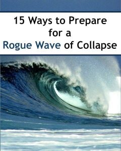15-Ways-To-Prepare-for-a-Rogue-Wave-of-Collapse-240x300.jpg