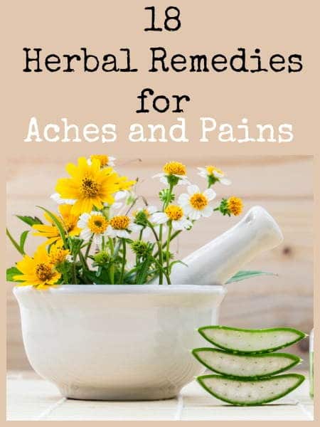 18 herbal remedies for aches and pains | Backdoor Survival