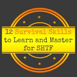 12-Survival-Skills-to-Learn-and-Master-for-SHTF-250x250.jpg