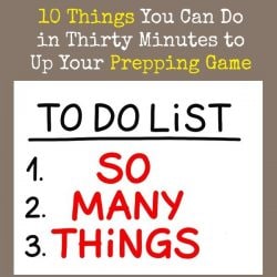 10-Things-You-Can-Do-in-Thirty-Minutes-to-Up-Your-Prepping-Game-250x250.jpg