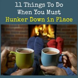 11-Things-To-Do-When-You-Must-Hunker-Down-in-Place-250x250.jpg