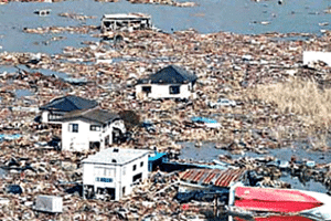 Disaster Preparation Basics