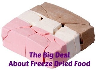 The Big Deal About Freeze Dried Food