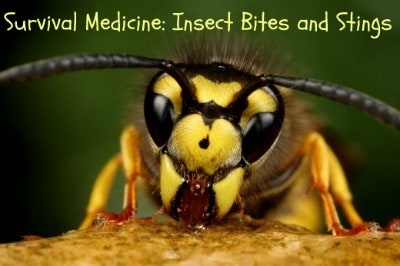 Survival Medicine: Insect Bites and Stings