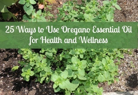 Oregano Essential Oil for Health Wellness