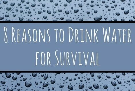 8 Reasons to Drink Water for Survival