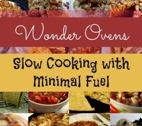 Wonder Ovens BDS