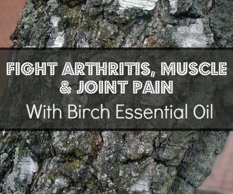 Birch Essential Oil for Arthritis, Muscle and Joint Pain |www.backdoorsurvival.com|