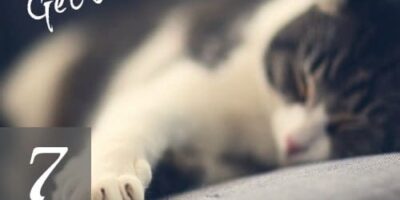 Get Some Sleep! 7 Reasons the Well-Rested Prepper Will Prevail