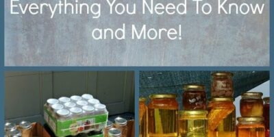 Canning Jars 101 – Everything You Need To Know and More!