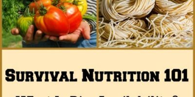 Survival Nutrition 101: What Is Bio-Availability?