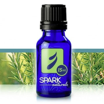 Powerful Healing Qualities of Rosemary Essential Oil - Backdoor Survival