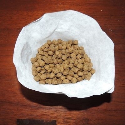 35 Reasons Coffee Filters are Survival Multitaskers | Backdoor Survival