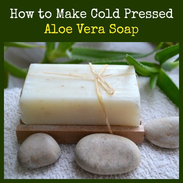 How to Make Cold Pressed Vegan Aloe Vera Soap | Backdoor Survival