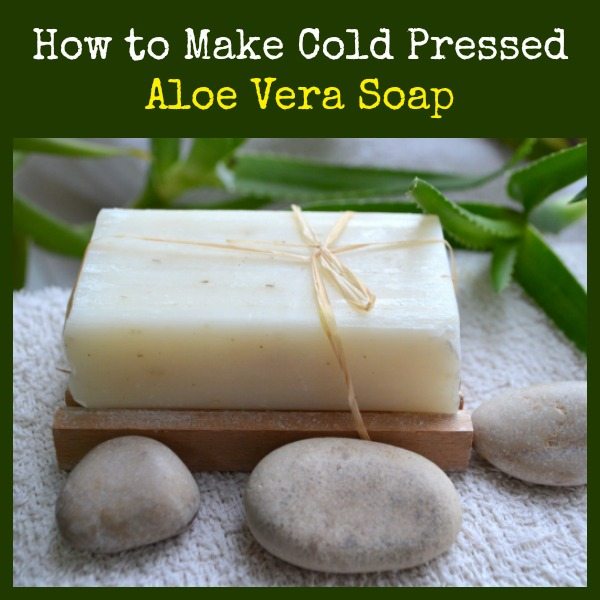 Homemade Aloe Vera Soap, Aloe Vera Soap Homemade