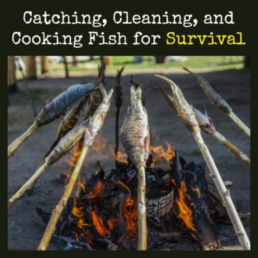 Catching Cleaning And Cooking Fish For Survival Backdoor Survival Catching Cleaning And Cooking Fish For Survival Backdoor Survival
