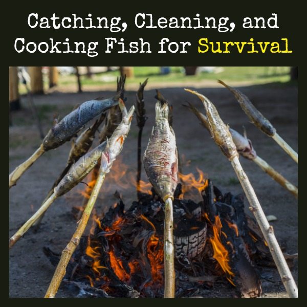 Catching Cleaning Cooking Fish for Survival | Backdoor Survival