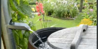 20 Strategies and Tips for Creating a Rainwater Catchment System