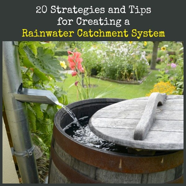 20 Strategies and Tips for Creating a Rainwater Catchment System | Backdoor Survival