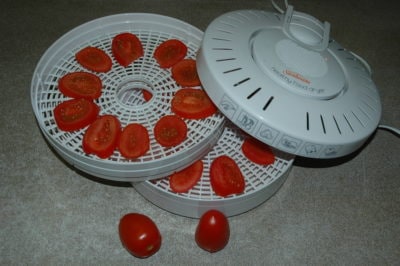 Tomatoes in a Food Dehydrator