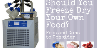 Should You Freeze Dry Your Own Food? Pros and Cons to Consider