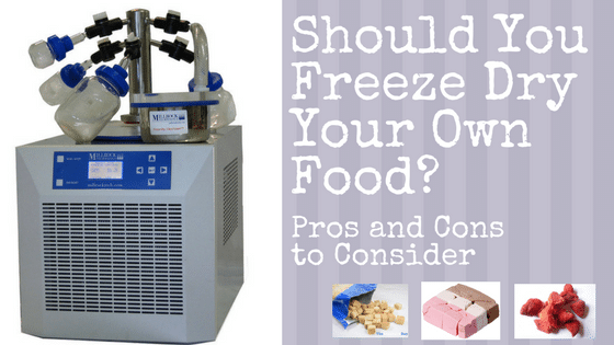 Should You Freeze Dry Your Own Food? Pros and Cons to Consider