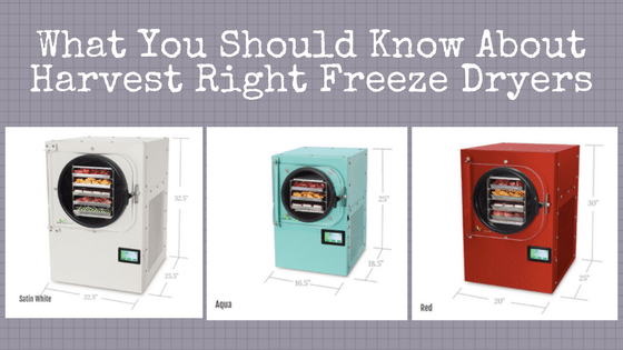 Best Freeze Dryers for Drying Food at Home