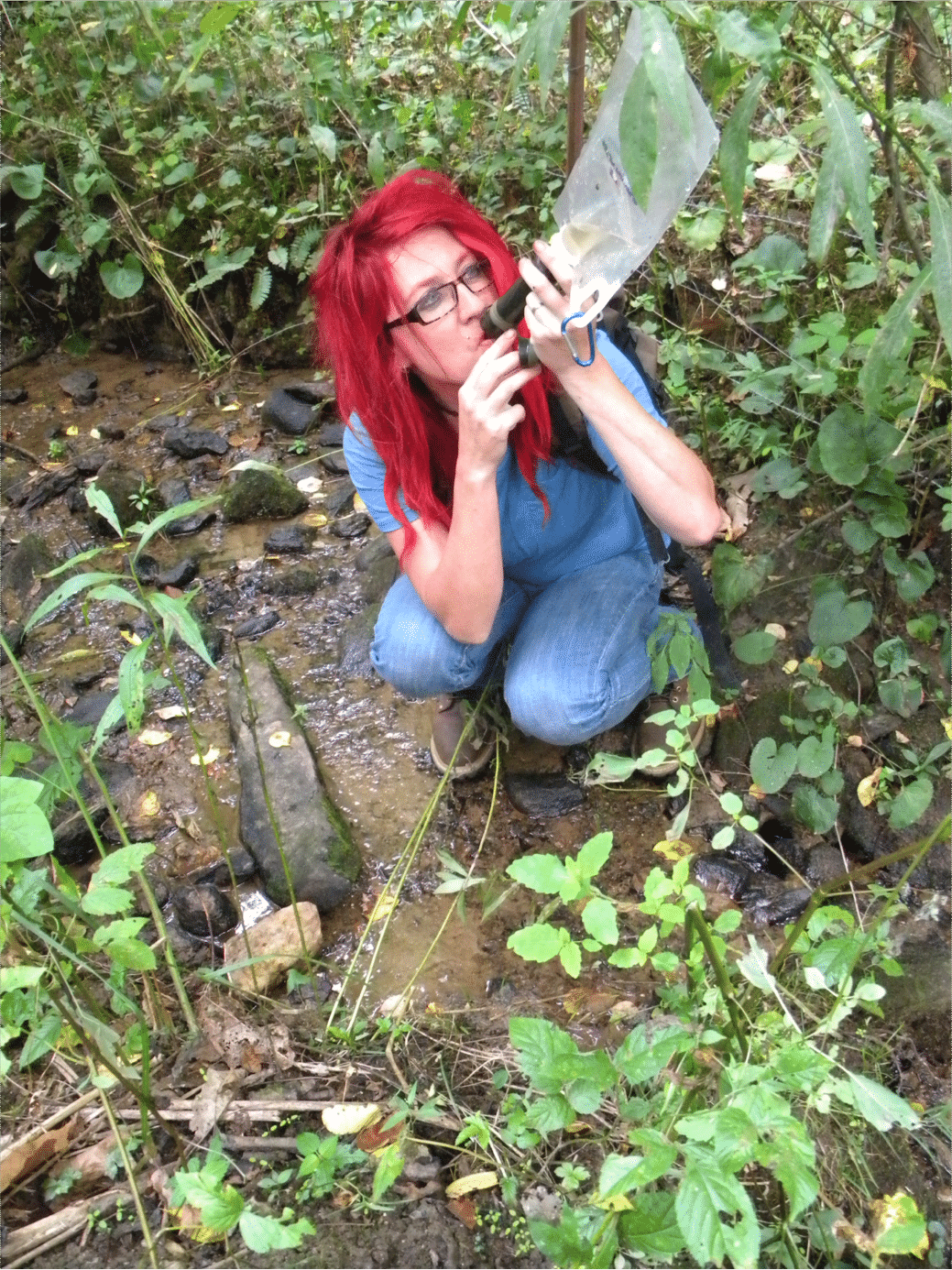 Lifestraw vs Survivor Filter Which Personal Filter is Best? Backdoor