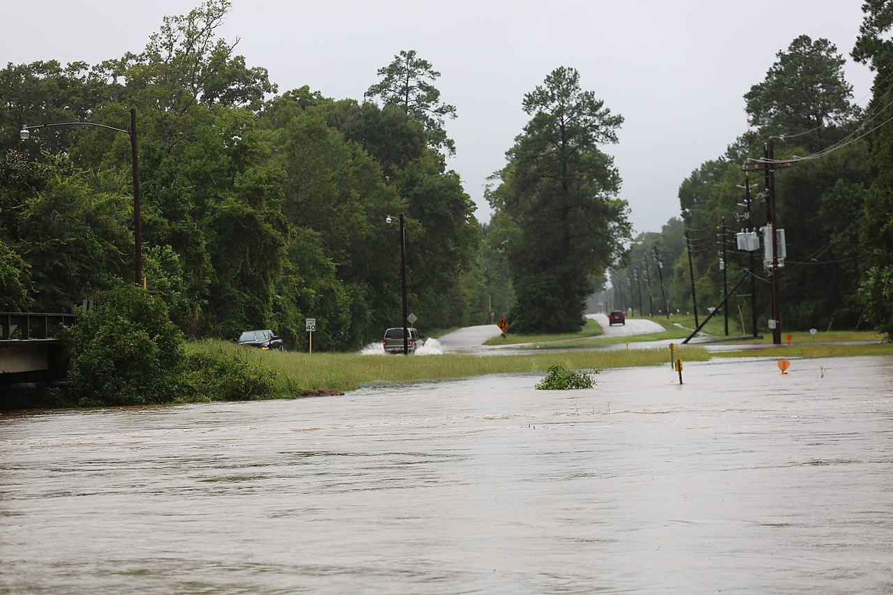 What Makes the Best Hurricane Food? Hurricane Ready Food Supply and