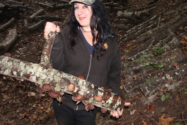 How to Grow Mushrooms and Preserve Them Backdoor Survival