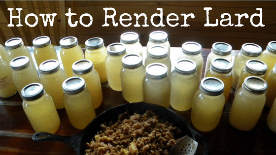 How to Render Lard