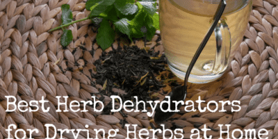 Top 6 Best Herb Dehydrators for Drying Herbs at Home