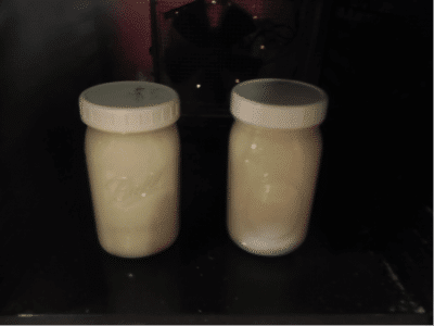 raw milk yogurt
