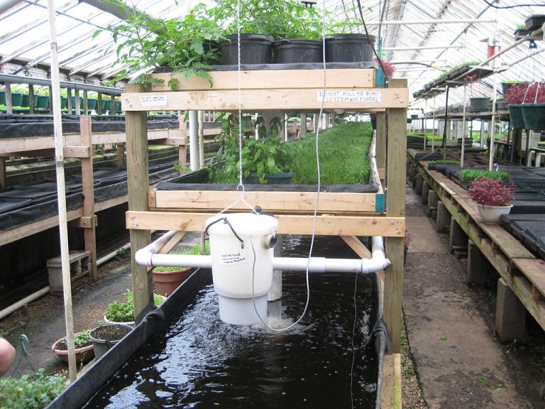 the prepper's guide to aquaponics: urban and soil-less