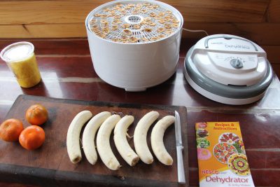 drying food dehydrator food prepping fruit banana orange