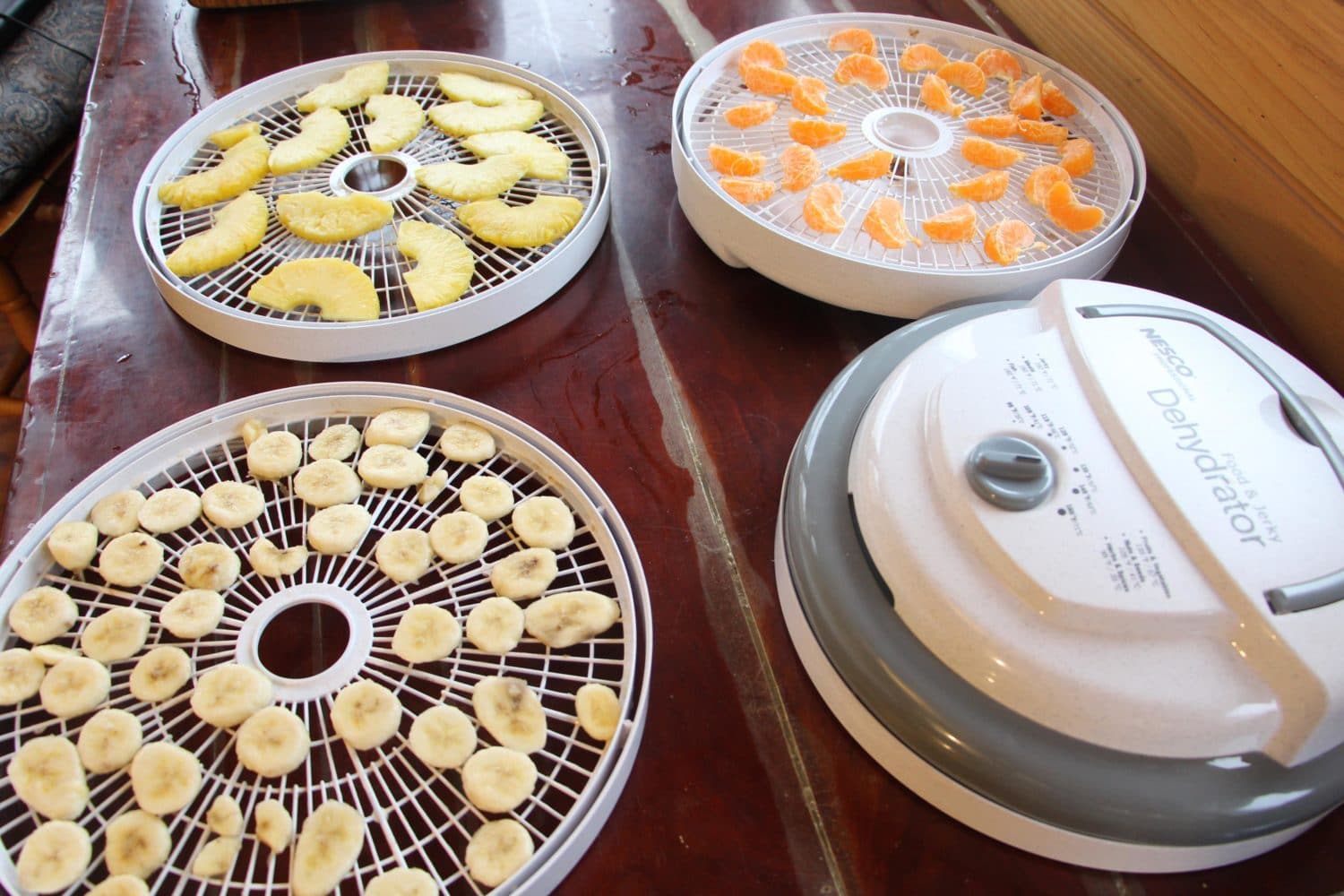 Nesco Professional Food And Jerky Dehydrator Review Backdoor Survival