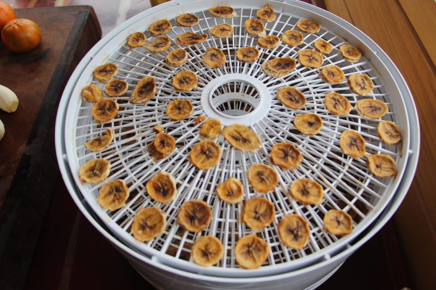 Nesco Professional Food And Jerky Dehydrator Review Backdoor Survival