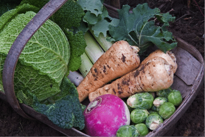 Winter Vegetables