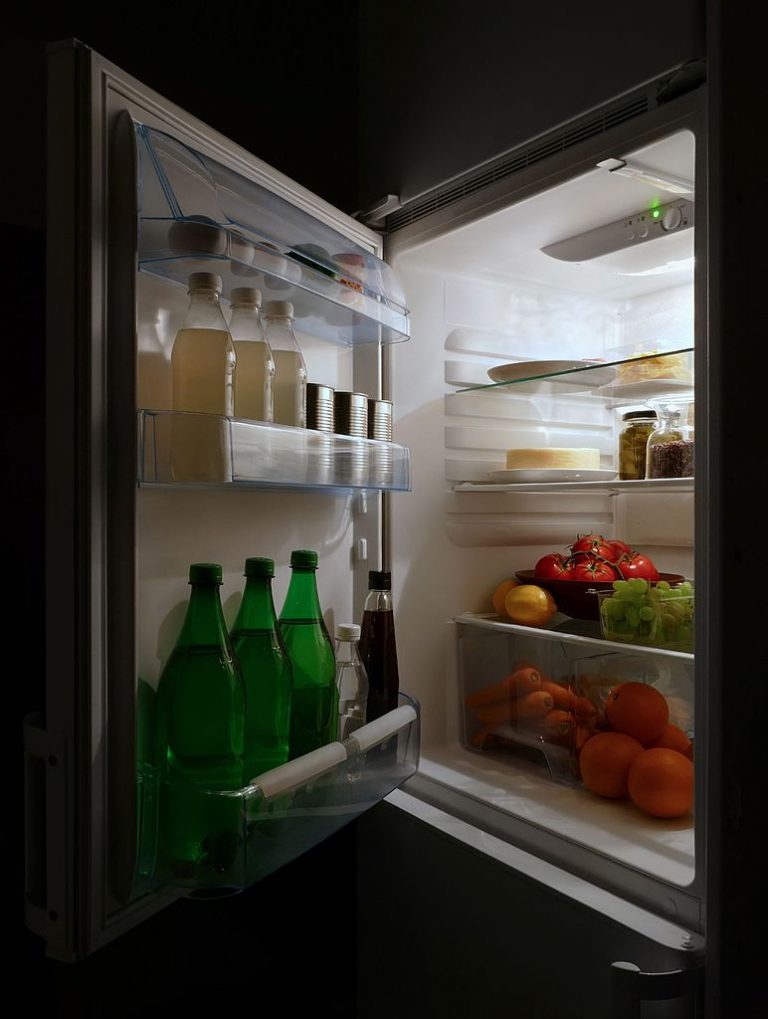 Best OffGrid Refrigerator Options to Consider Backdoor Survival