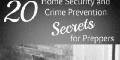 37 Home Security and Crime Prevention Secrets for Preppers