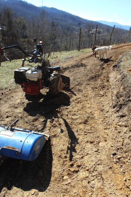 tractor-dirt-homestead