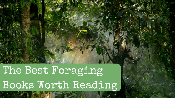The Best Foraging Books Worth Reading wide