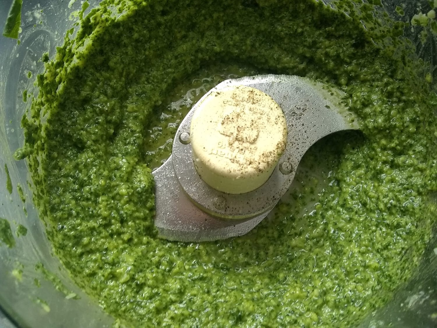 Garlic Mustard Pesto The Perfect Recipe For Foragers Backdoor Survival