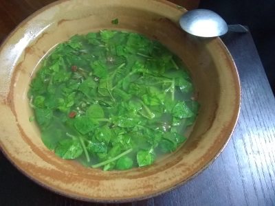 chunky green soup