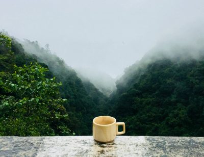 coffee cup nature